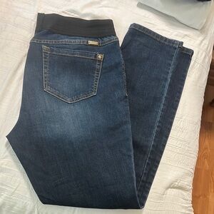 INC International Concepts Blue Jeggings with Rich Indigo Tone